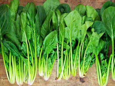 Chia sẻ cách lựa chọn rau củ an toàn Chia sẻ cách lựa chọn rau củ an toàn