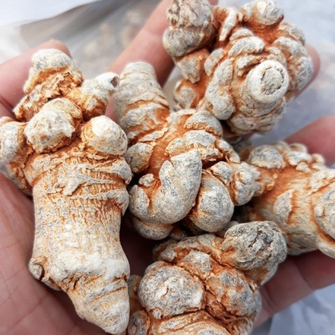 0.5kg Củ Tam Thất Bắc Loại Vip 7 Năm Tuổi 32 Củ/kg 0.5kg Củ Tam Thất Bắc Loại Vip 7 Năm Tuổi 32 Củ/kg