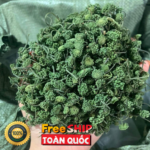 0.5kg Nụ Hoa Tam Thất Khô Hàng VIP Chuẩn Loại 1 0.5kg Nụ Hoa Tam Thất Khô Hàng VIP Chuẩn Loại 1