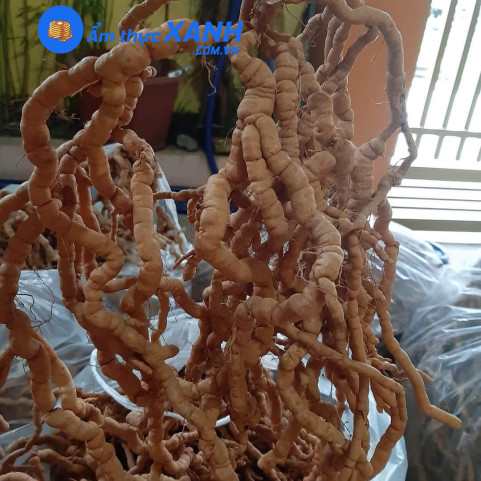 1kg Ba Kích Tím Rừng Tự Nhiên Ngâm Rượu 1kg Ba Kích Tím Rừng Tự Nhiên Ngâm Rượu