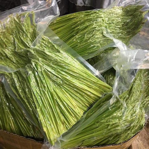 Đòng Đòng Nếp Nương Tây Bắc Đóng Gói Hút Chân Không Đòng Đòng Nếp Nương Tây Bắc Đóng Gói Hút Chân Không