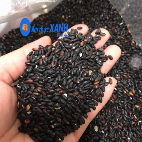 Gạo Nếp Cẩm Điện Biên Hàng Chuẩn! Gạo Nếp Cẩm Điện Biên Hàng Chuẩn!