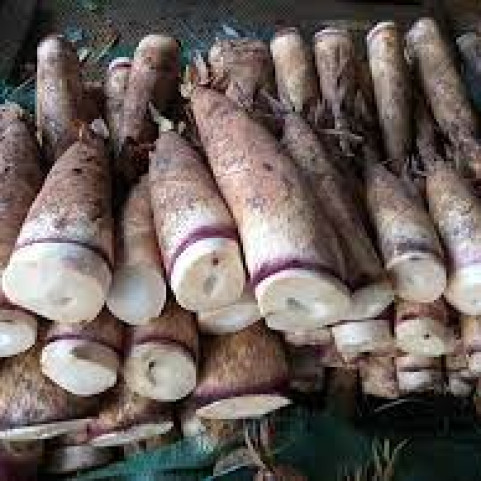 Măng Đắng Tây Bắc Hàng Chuẩn Loại 1 Măng Đắng Tây Bắc Hàng Chuẩn Loại 1