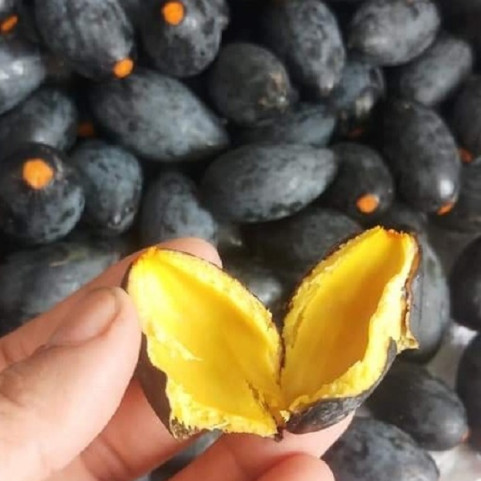 Quả trám Quả trám