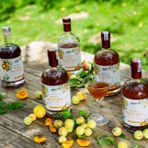 Rượu Ngán Đặc Sản Ngon Rượu Ngán Đặc Sản Ngon