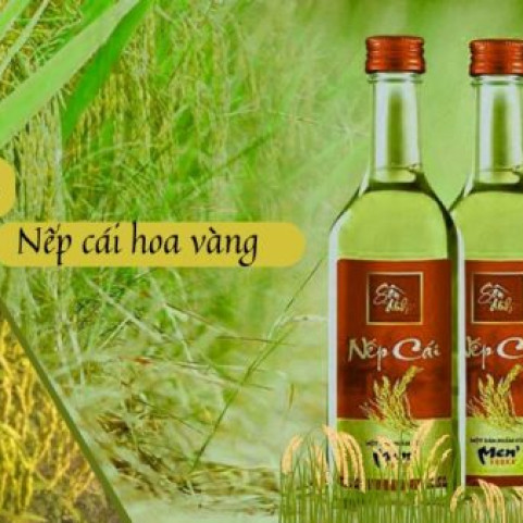 Rượu Nếp Cái Hoa Vàng Tại Hà Giang Chuẩn Loại 1 Rượu Nếp Cái Hoa Vàng Tại Hà Giang Chuẩn Loại 1